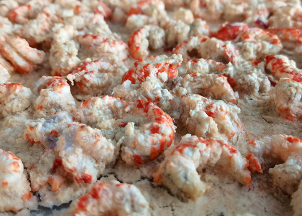 蒜蓉龍蝦凍干：海鮮真空冷凍干燥機應(yīng)用在龍蝦凍干加工